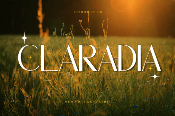Claradia Typeface for Modern Business Branding