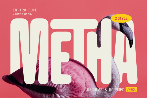 Metha Typeface: Friendly Branding for Small Business
