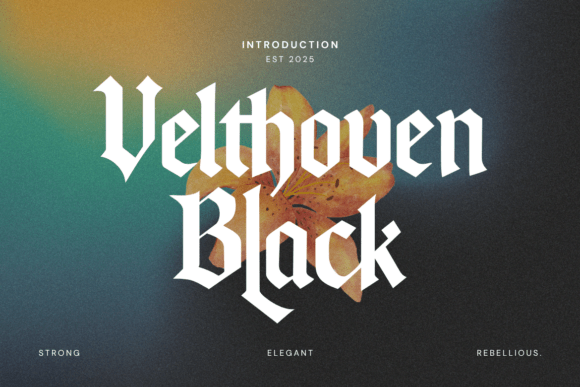Velthoven Black: A Modern Typeface for Editorial Design